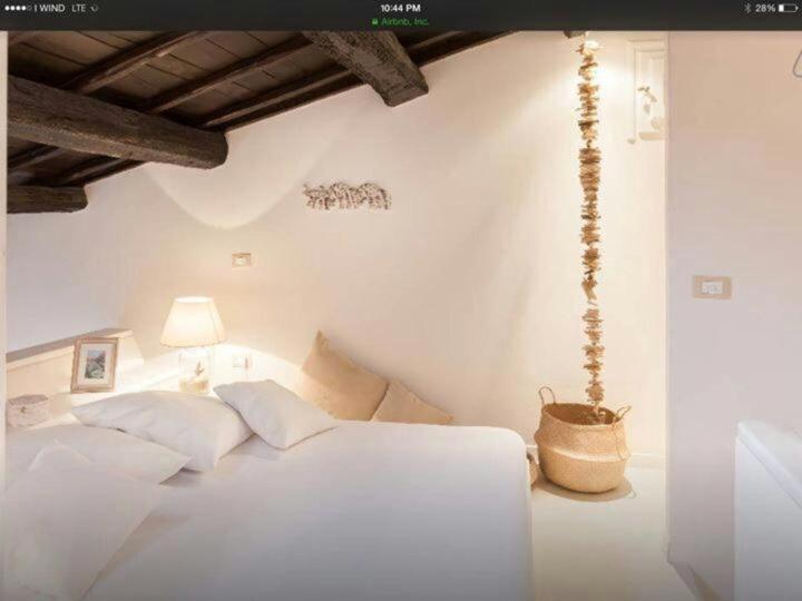 Navona Lovely Penthouse 罗马 外观 照片